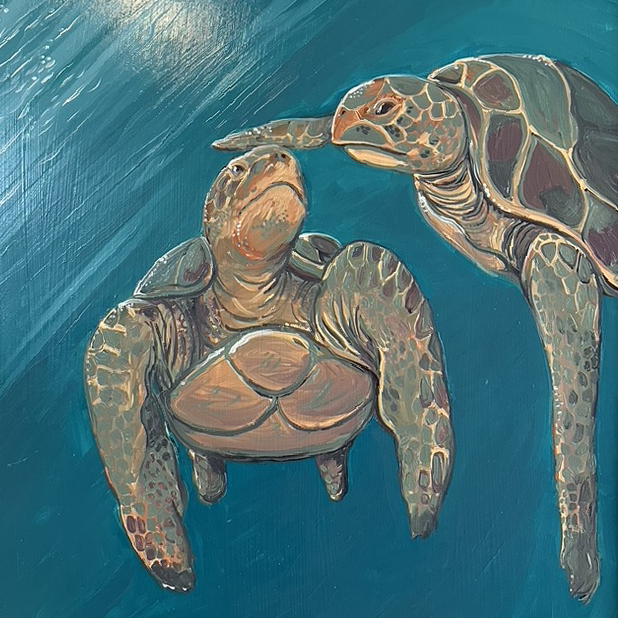 Sea Turtle Study