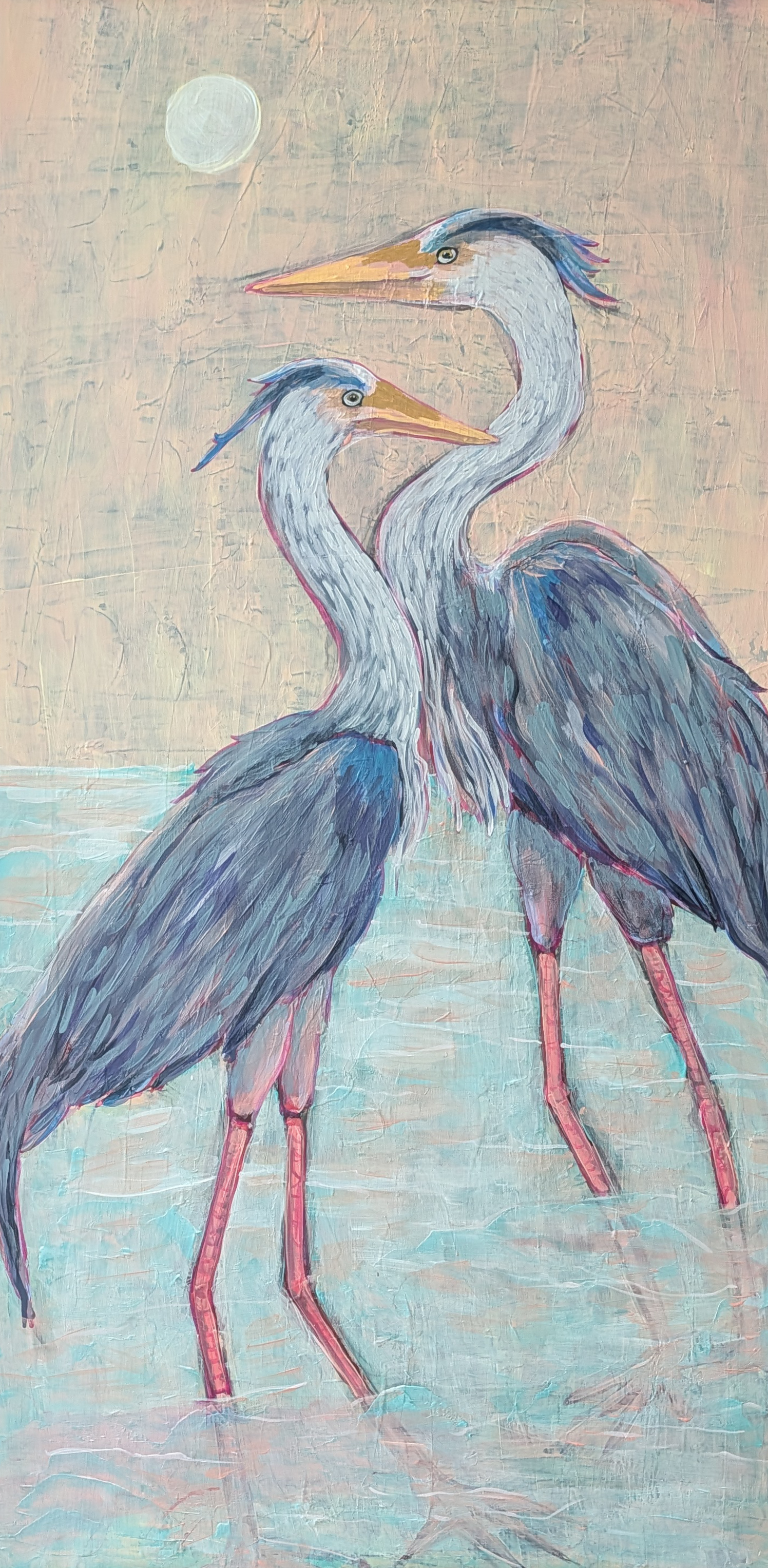 Two Blue Herons