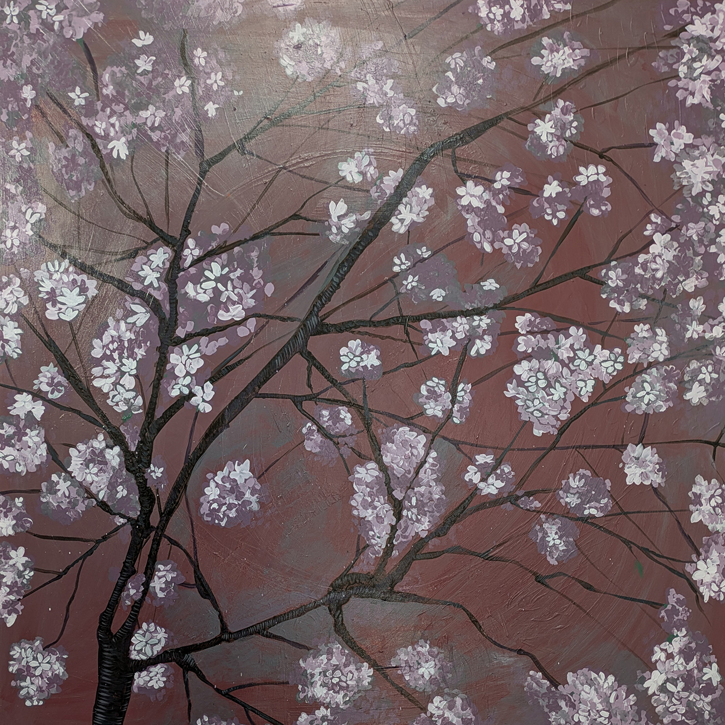 Cherry Blossom Study