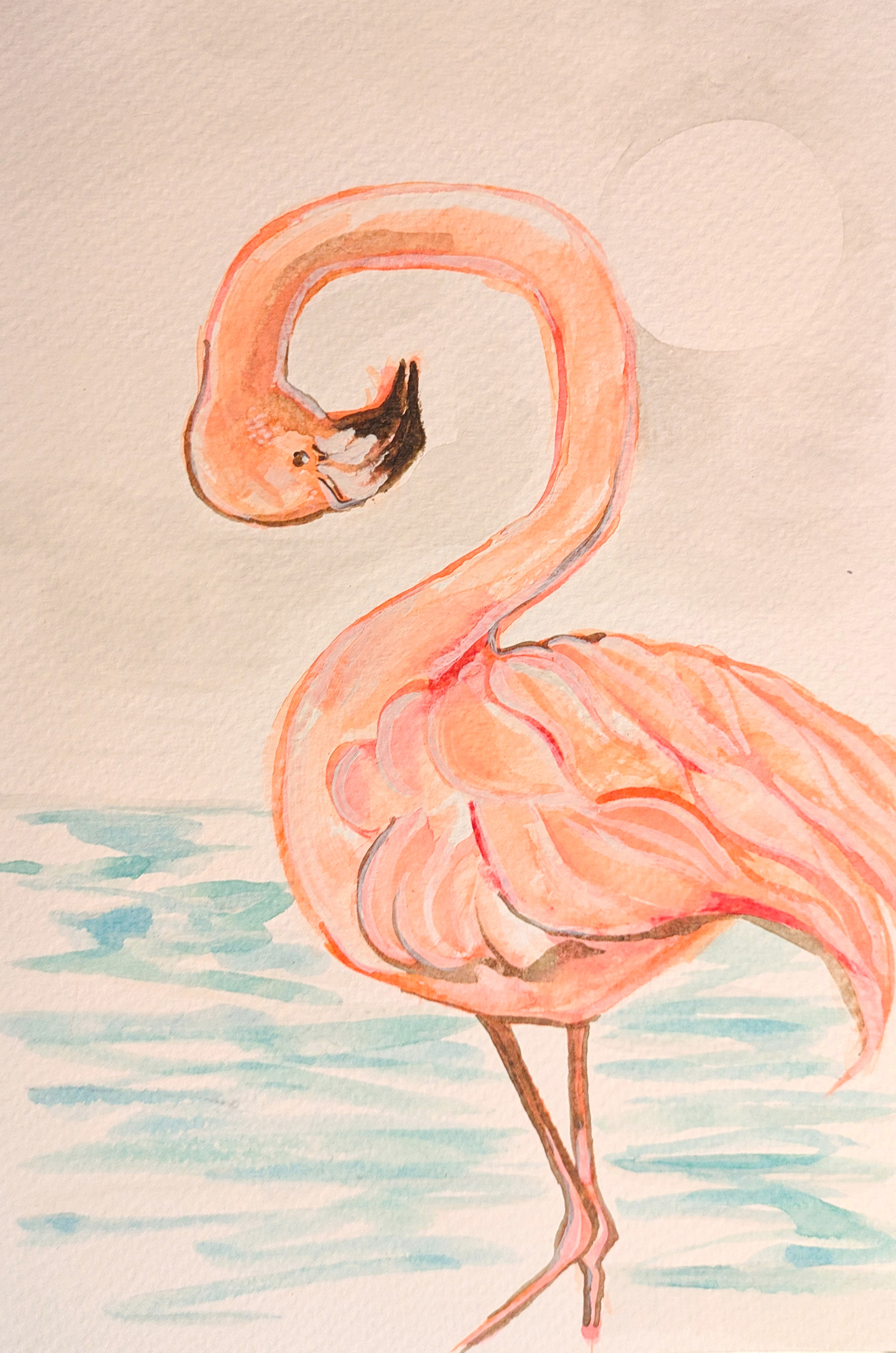 Flamingo at Midday